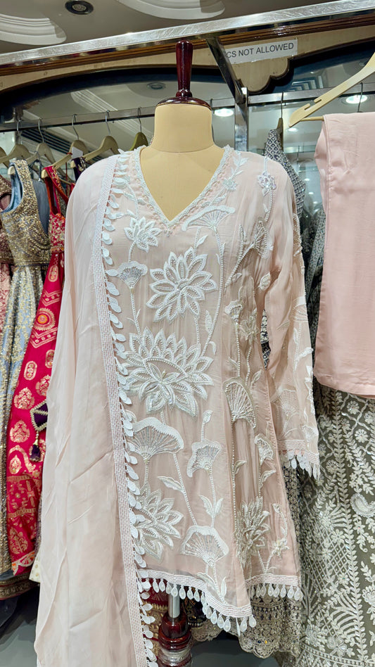 Whispers of Elegance – Embroidered Organza A-Line Set