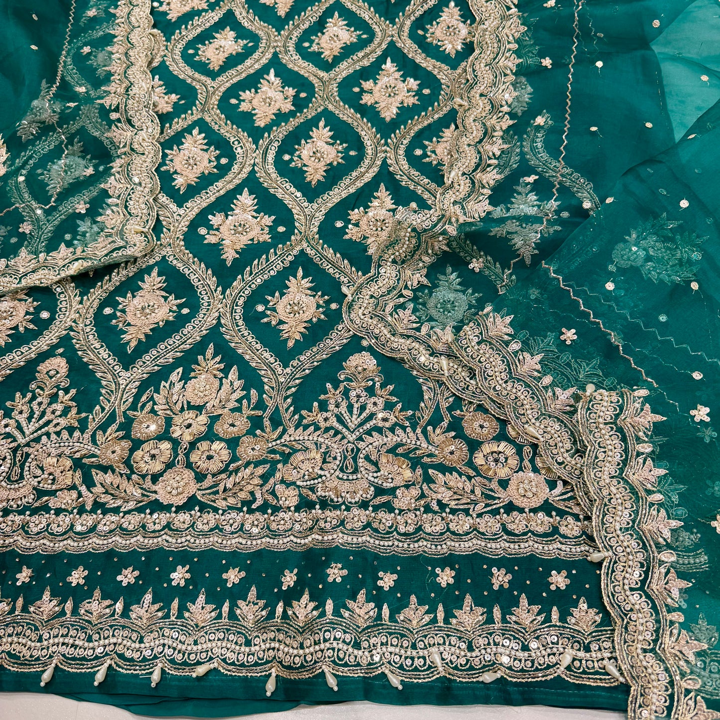 Pure Orgenza Front Zardozi handwork suit set